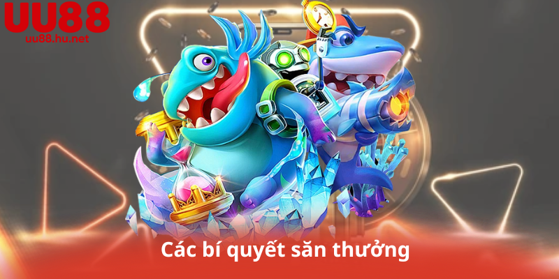 Các bí quyết săn thưởng