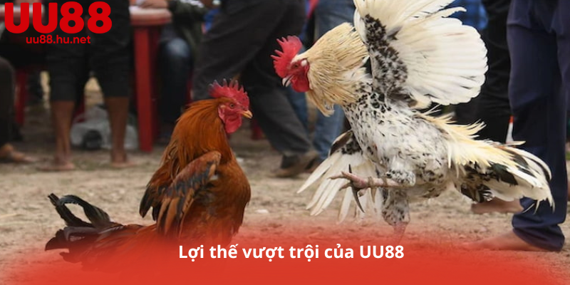 Lợi thế vượt trội của UU88